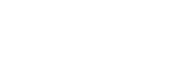 BACHATA MANIA